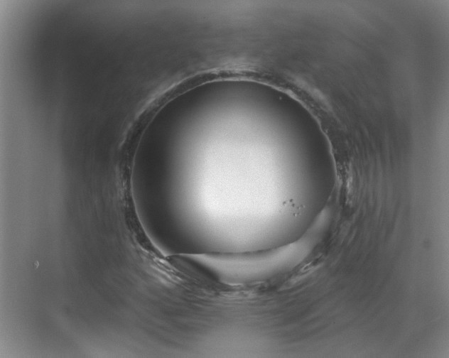 X0000070421160200606161430