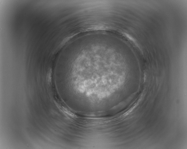 X0000070421161200606161430