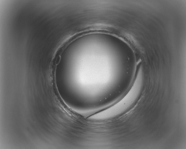 X0000070421164200606161430