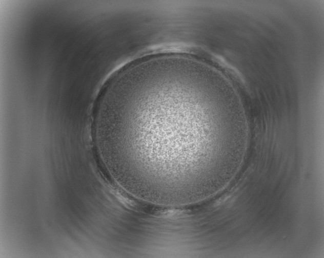 X0000070421166200606161430