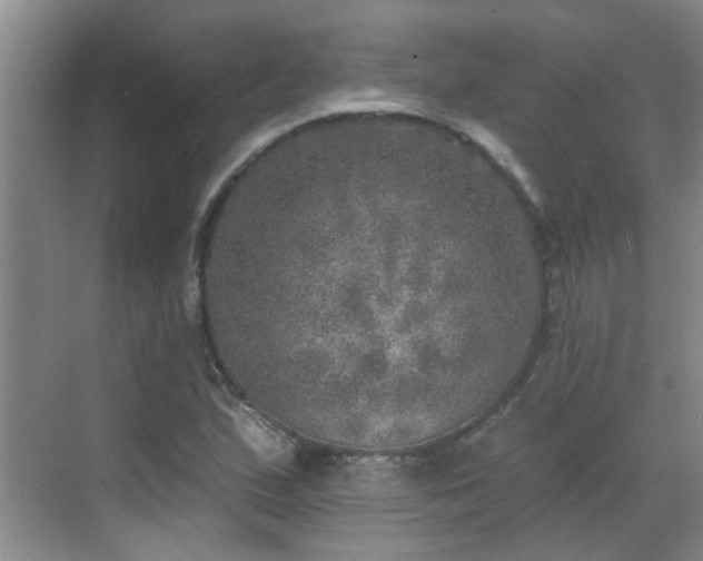 X0000070421167200606161430