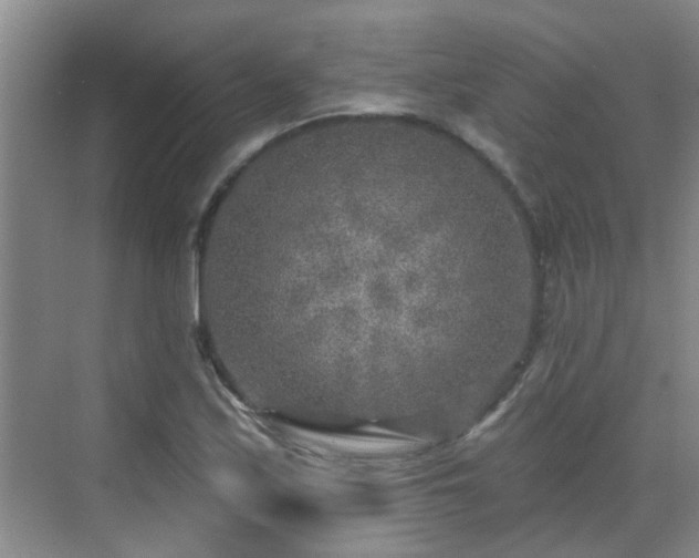 X0000070421171200606161430