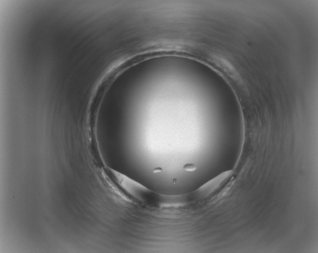 X0000070421172200606161430