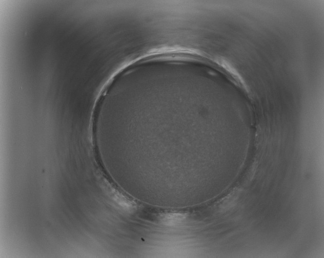 X0000070421173200606161430