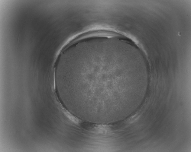 X0000070421175200606161430