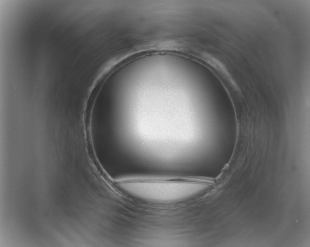 X0000070421176200606161430