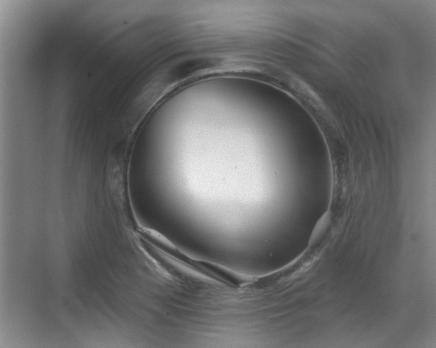 X0000070421177200606161430