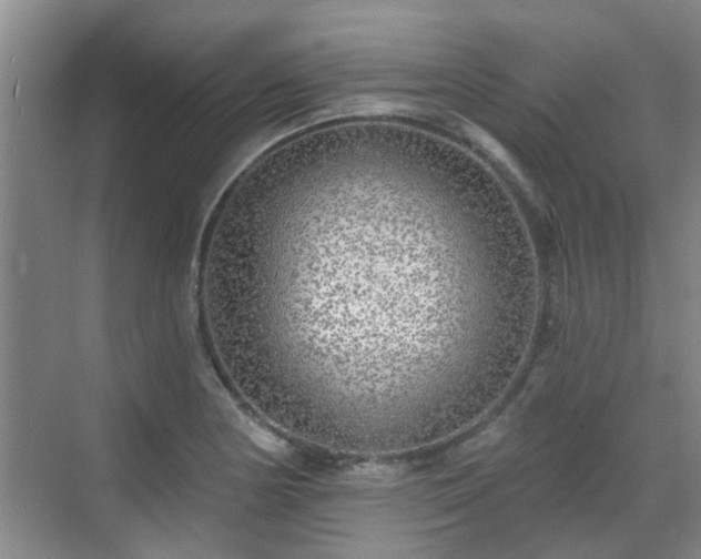 X0000070421178200606161430