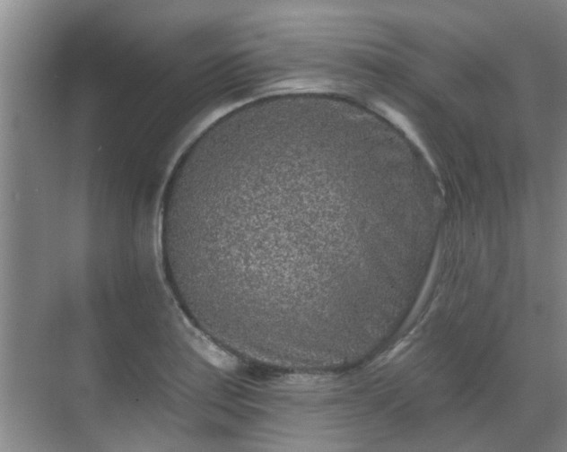 X0000070421179200606161430