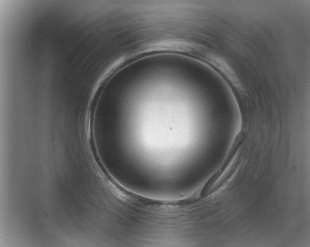 X0000070421180200606161430