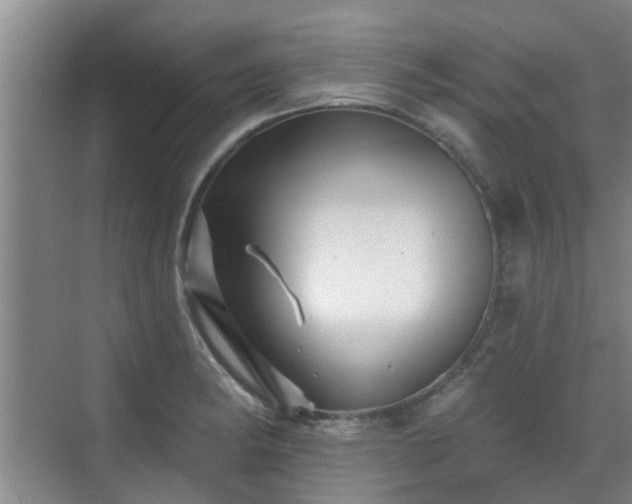 X0000070421182200606161430