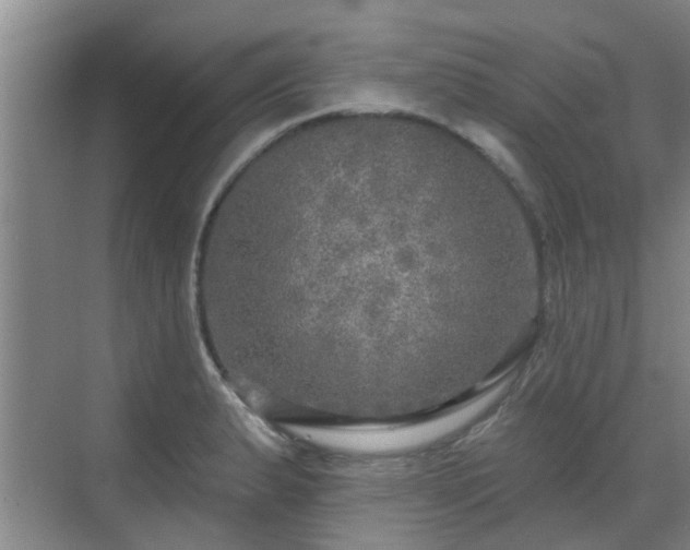 X0000070421183200606161430