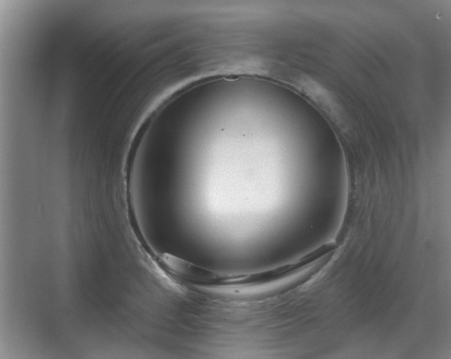 X0000070421184200606161430