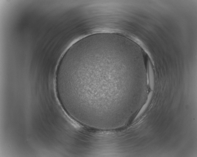 X0000070421187200606161430