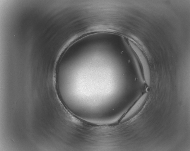 X0000070421188200606161430