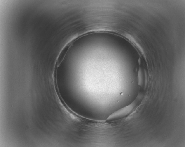 X0000070421189200606161430