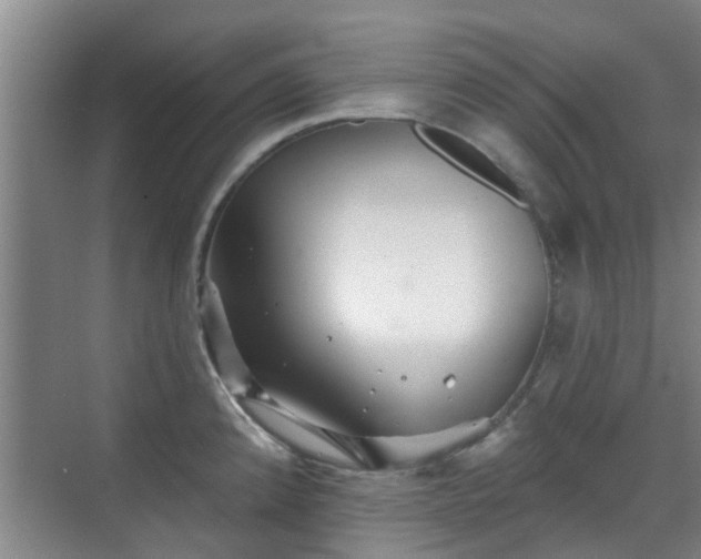 X0000070421192200606161430