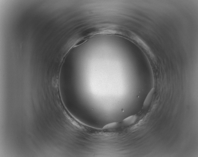 X0000070421193200606161430