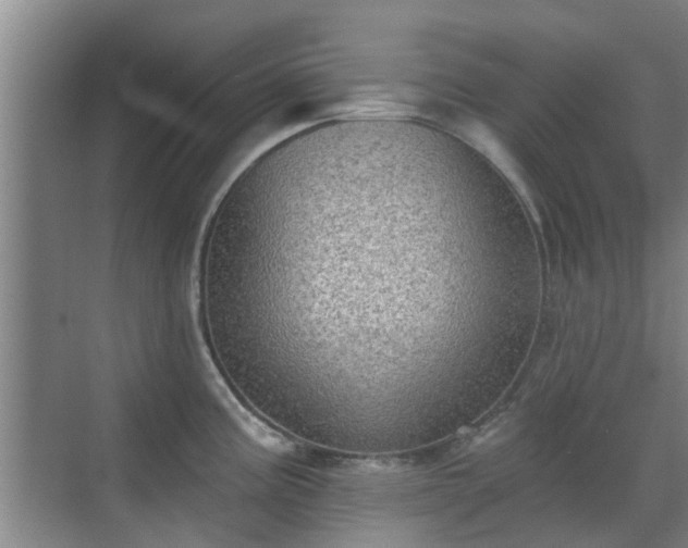 X0000070421195200606161430