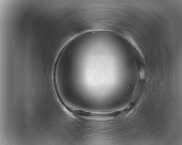 X0000070421197200606161430