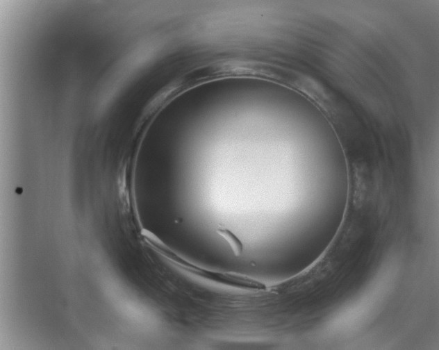 X0000070421198200606161430