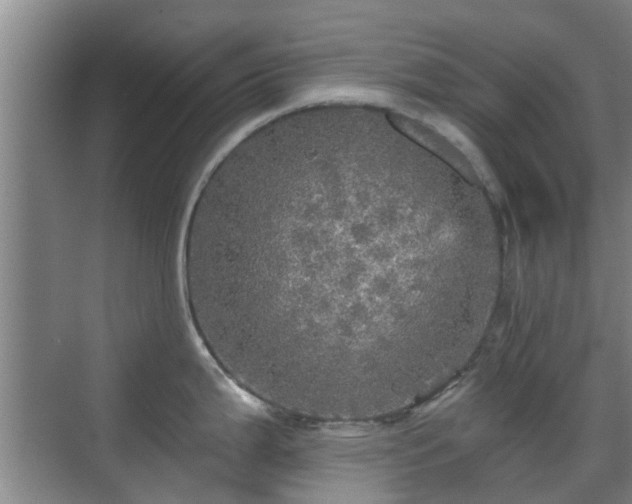 X0000070421199200606161430