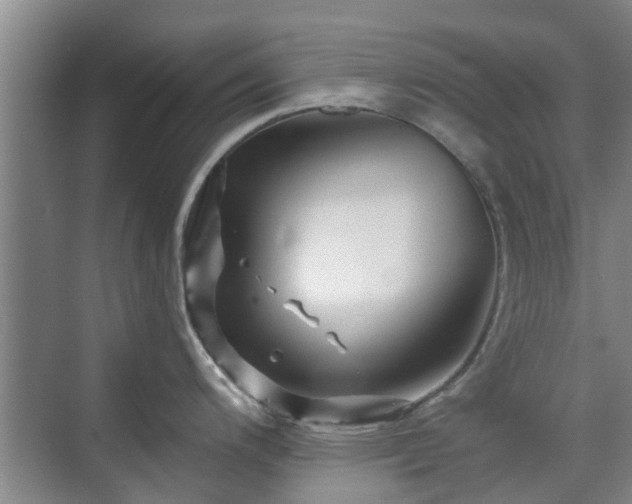 X0000070421200200606161430