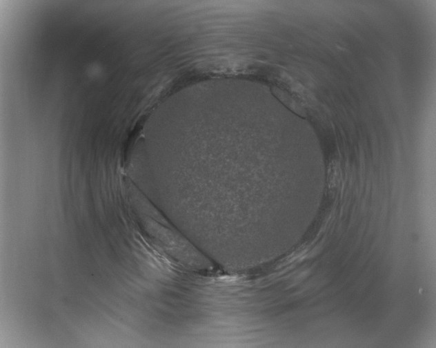 X0000070421202200606161429