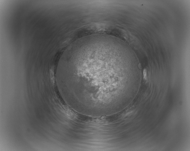 X0000070421203200606161429