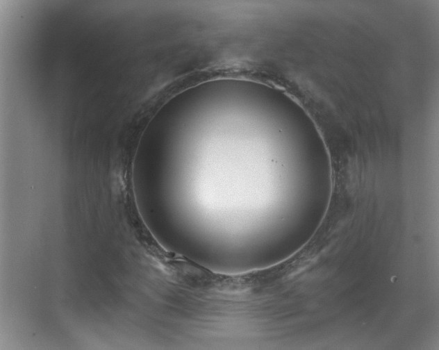 X0000070421206200606161429