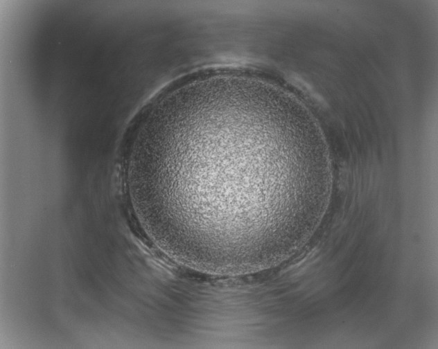 X0000070421208200606161429