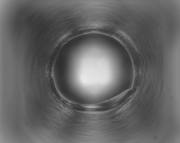 X0000070421210200606161429