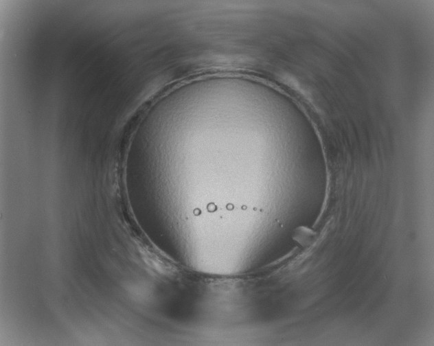 X0000070421211200606161429