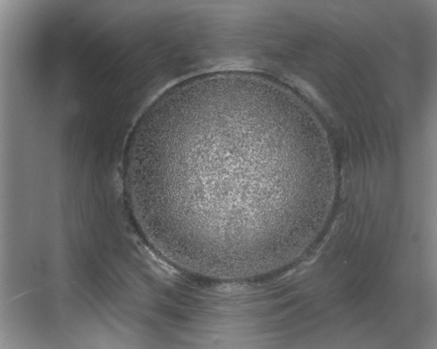 X0000070421212200606161429