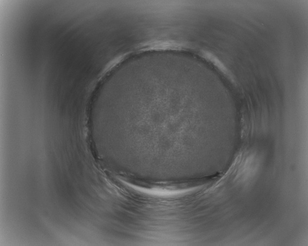 X0000070421213200606161429