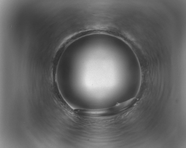 X0000070421214200606161429