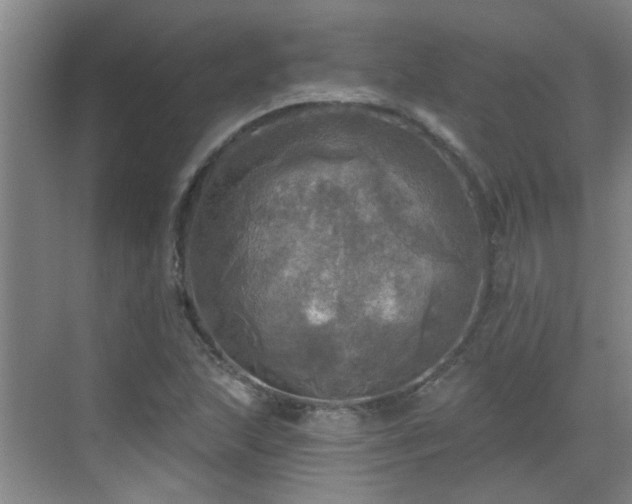 X0000070421215200606161429