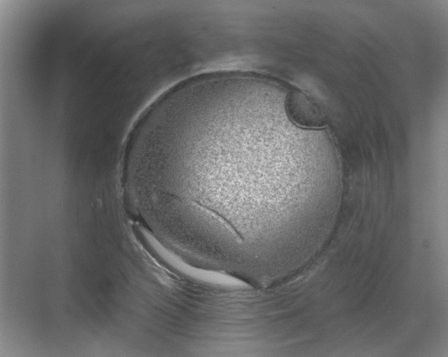 X0000070421216200606161429