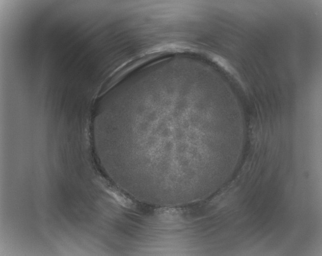 X0000070421217200606161429