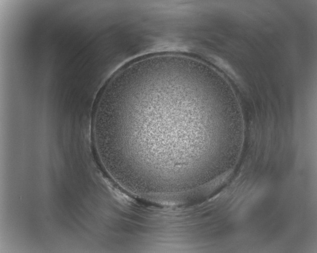 X0000070421220200606161429