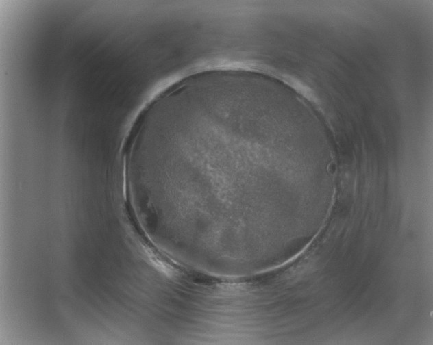 X0000070421223200606161429