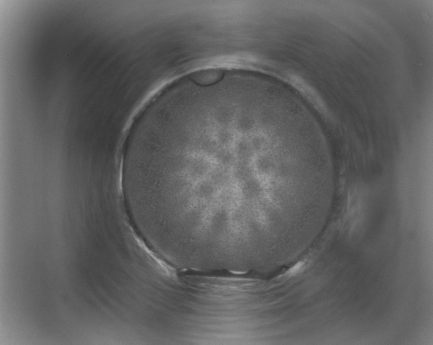 X0000070421224200606161429