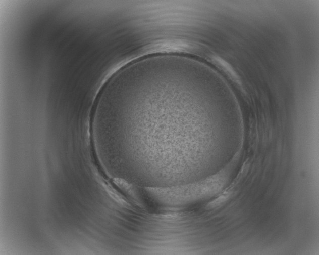 X0000070421226200606161429