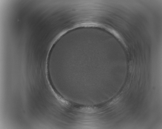 X0000070421229200606161429