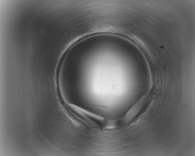 X0000070421230200606161429