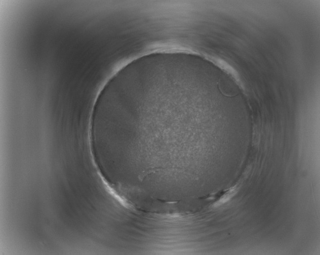 X0000070421231200606161429