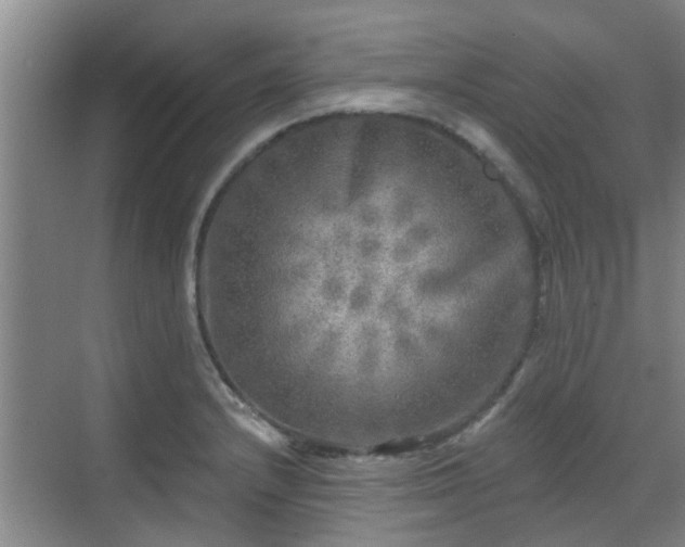 X0000070421232200606161429