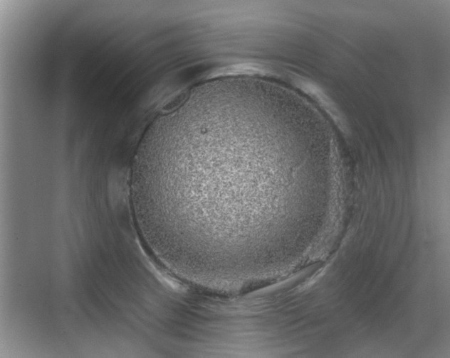 X0000070421233200606161429