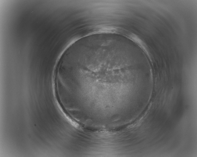 X0000070421235200606161429