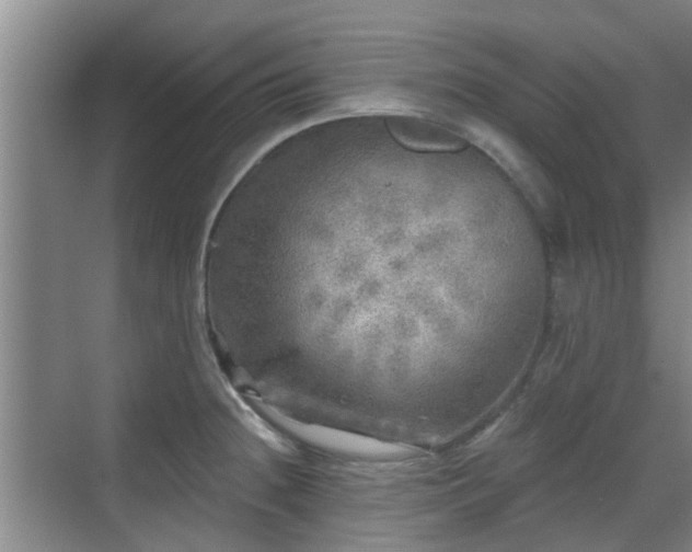 X0000070421236200606161429